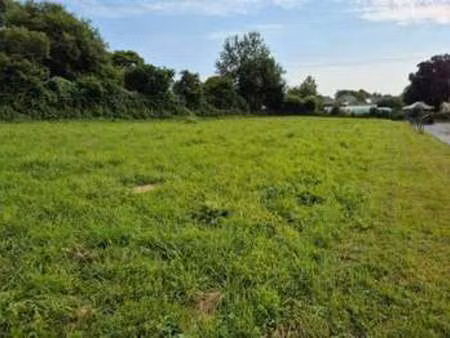 vente terrain à carbay (49420) : à vendre / 780m² carbay