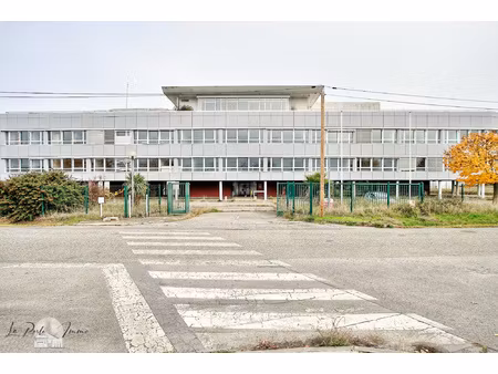 achat local professionnel 1 818m² muret 31600