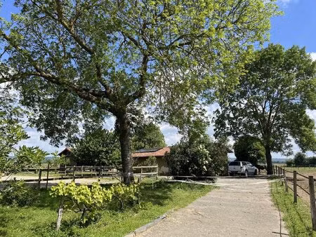 grande maison familiale entièrement rénovée  2ha  partie équestre et terrain...