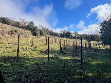 vente terrain 5470 m² saint-julien (34390)