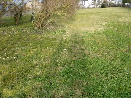 achat : terrain (86500)