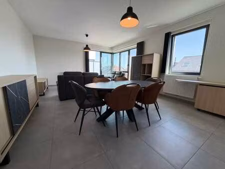 appartement meublé 2 chambres avec terrasse  cave et parking