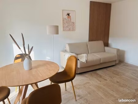 appartement climatisé avec terrasse + parking