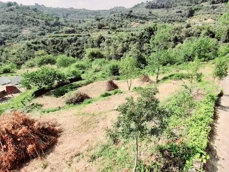 terrain constructible 1 6ha