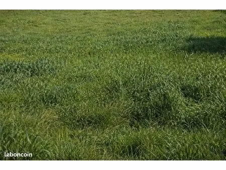 terrain 500 m² grasse