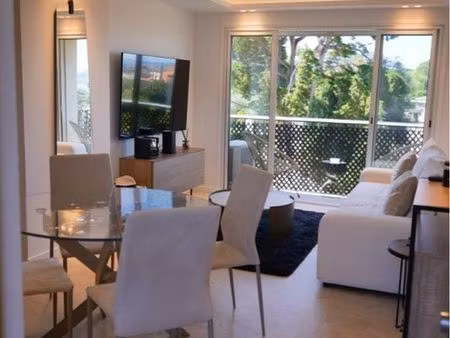 lions cannes last minute t3 last floor 20min walk palais des festivals