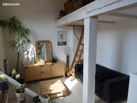 studio mezzanine avec grande terrasse