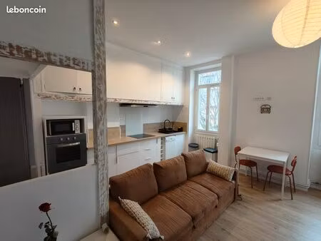 appartement 2 pièces 45 m2 meublé  rénové  calme  lumineux