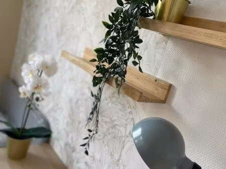 chambre 1 pièce 13 m²