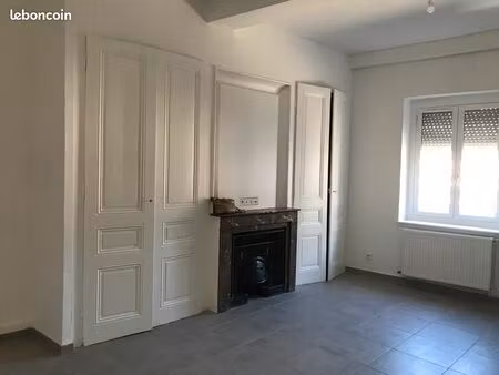 apparemment 57m2 villeurbanne grand clément