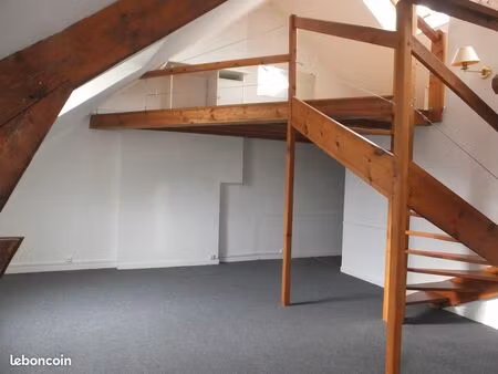 loft hyper centre 49m2