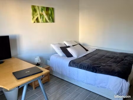 grande chambre meublée de 14 m² avec salle de bain privée  à louer chez l’habitant dans un