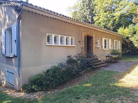 vends maison coeur de village proximité immédiate de lyon