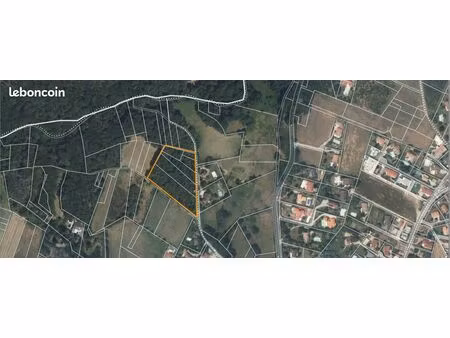 terrain boisé de 9 000 m² – brindas (69) – zone naturelle
