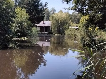 vendre etang avec chalet