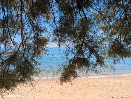 studio lavandou 50m des plages