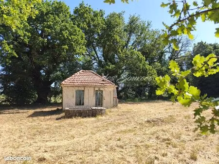maison 1 pièce 11 m²