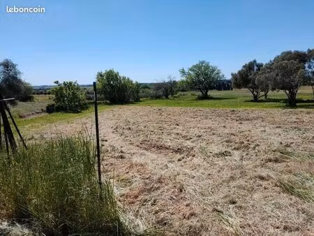 terrain agricole