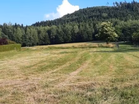 terrain constructible