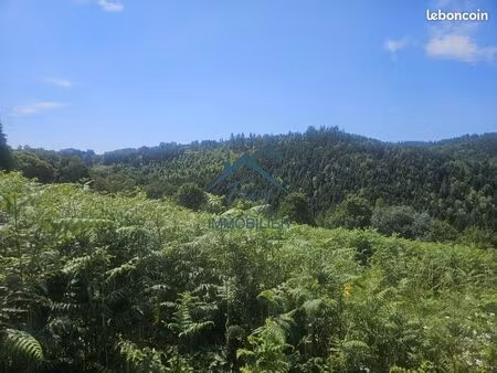 terrain 6516 m² le tholy