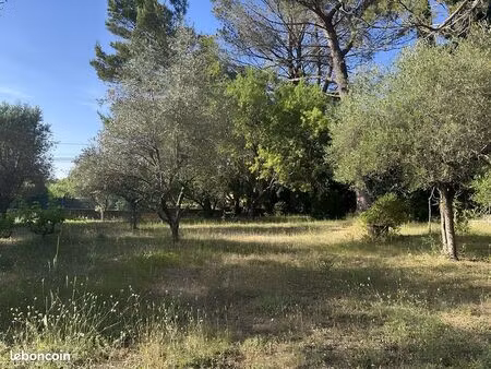 terrain arboré de 725 m²