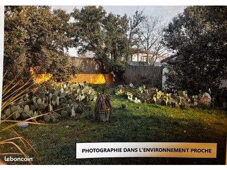 terrain constructible