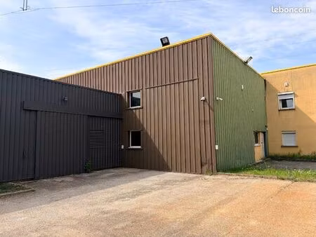 local d'activité 602 m²