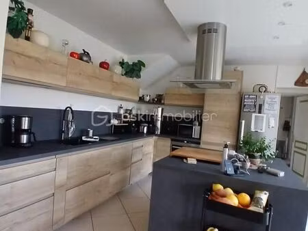 maison 9 pièces 270 m²