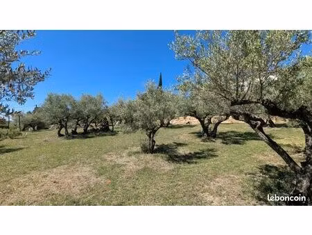 terrain cotignac