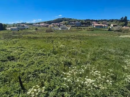 terrain constructible