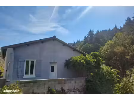 maison avec jardin
