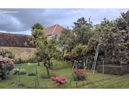 terrain constructible