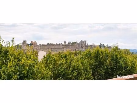 appartement vue cité médiévale
