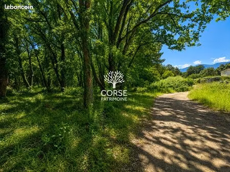 terrain 2 500 m² prunelli di fiumorbo