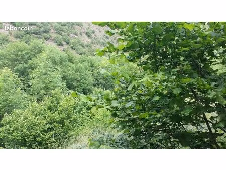 terrain constructible proche millau