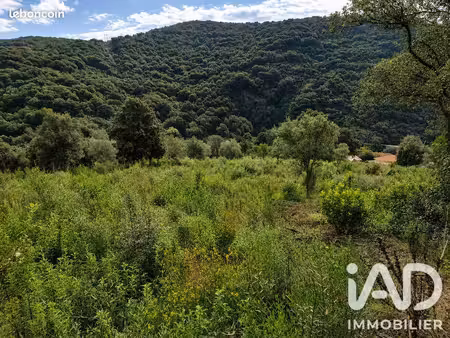 terrain 14741 m² ocana
