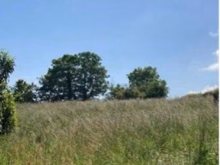 terrain agricole