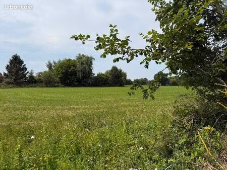 terrain 1 600 m² saint jouin