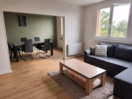 appartement t3 lumineux