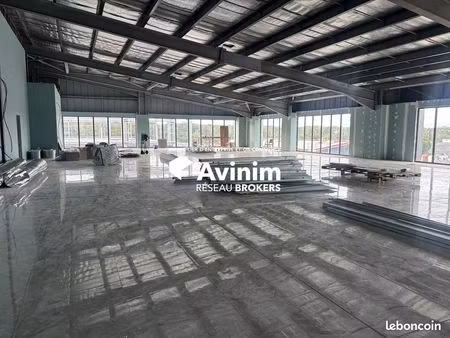 bureaux 376 m² baie-mahault