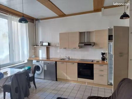 t1 bis 39m2 dans vieux lyon