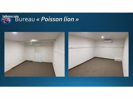 bureaux à louer zac rivière roche