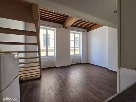 petit loft 39 m² + mezzanine – esprit canut  quais du rhône – rénové