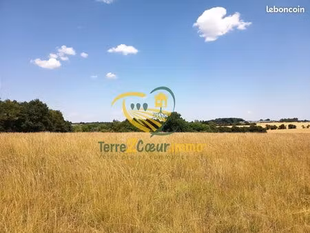 terrain 10151 m² saint-georges-sur-moulon