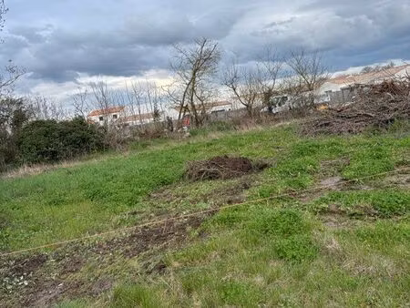 terrain constructible