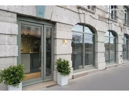 fonds de commerce – hôtel pour chats haut de gamme – lyon 2