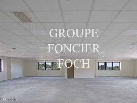 local 453 m² dardilly