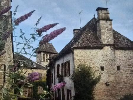 charmante maison corrézienne dans village typique