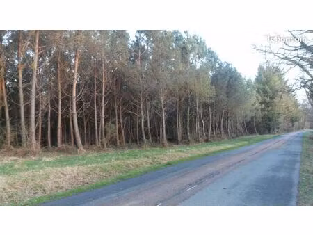 terrain et bois
