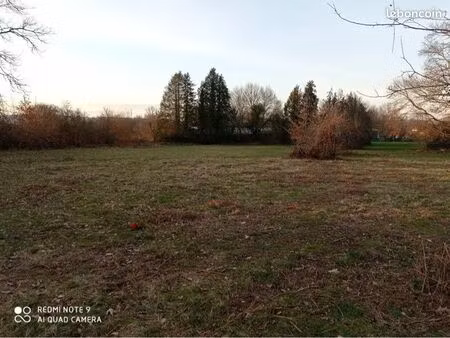 terrain constructible
